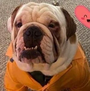 Meet your Posher, Jacqueline